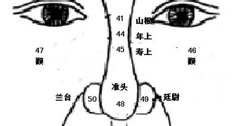 鼻孔面相|麦玲玲面相讲座之 鼻子 – 人相学